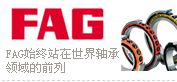 德國FAG軸承